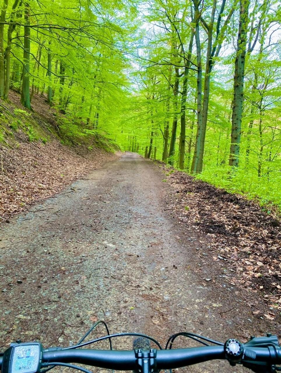 Exklusiver Rueckzugsort Mit Sauna In Der Natur! Nachrodt-Wiblingwerde Exteriér fotografie